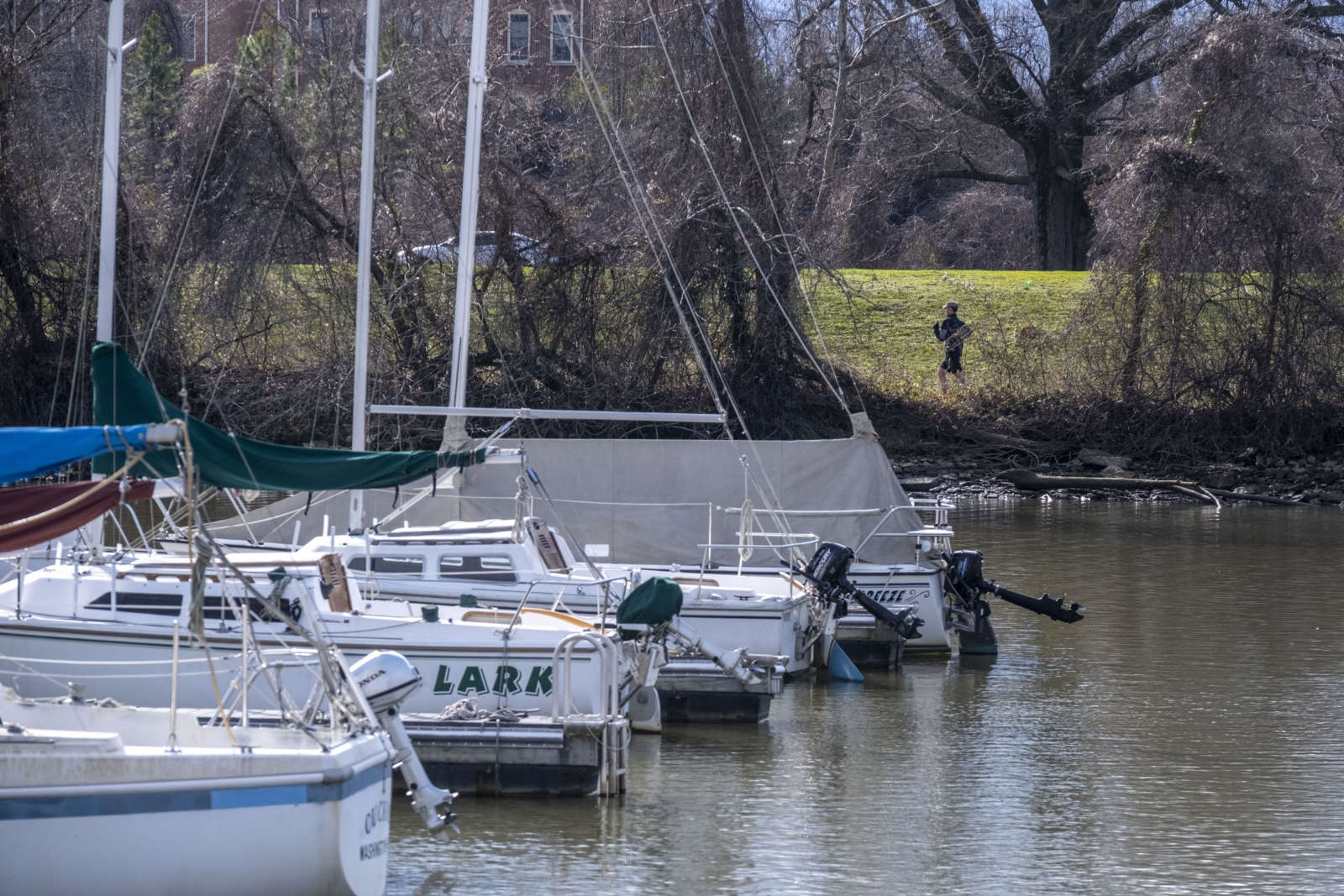 A runner along the Mt. Vernon trail near the marina at Dangerfield Island (Staff photo by Jay Westcott) | ALXnow