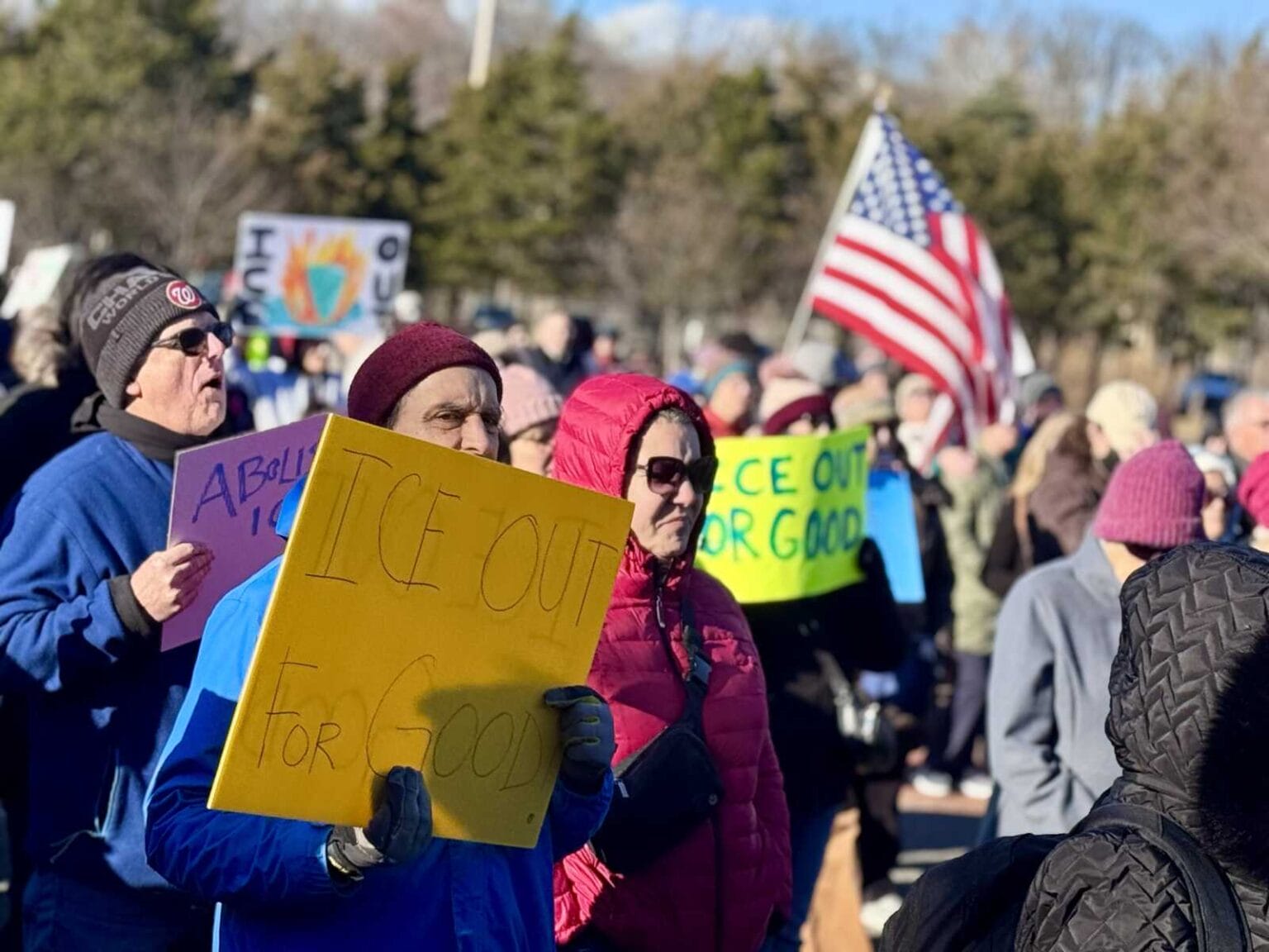 Protestand Rally Hundreds gather in Alexandria to protest ICE after fatal Minneapolis ...