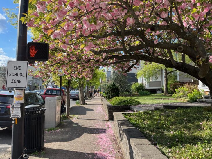 Morning Notes for April 15, 2026 | ALXnow