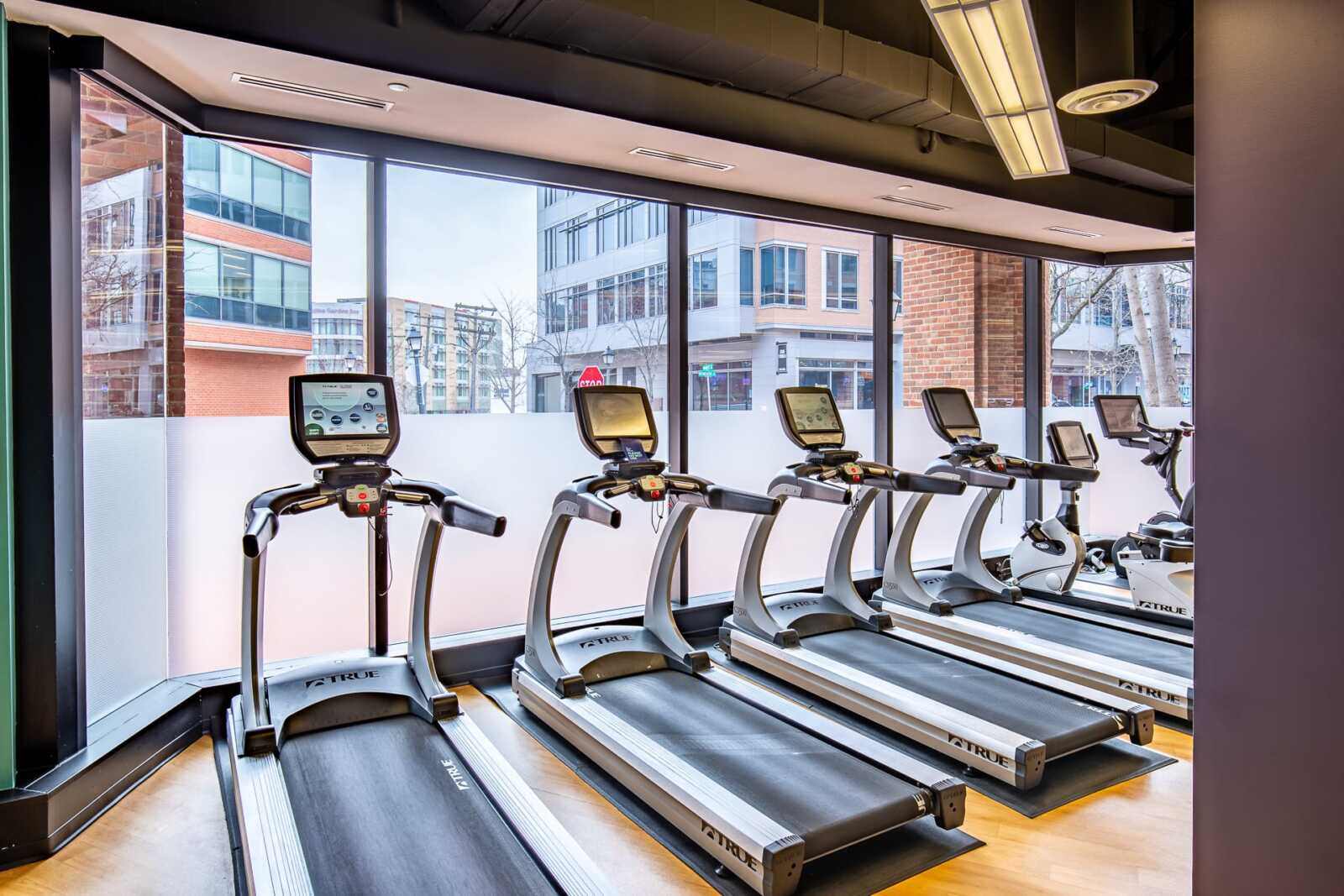 Image from A 5-Star Workday in the Heart of Old Town Alexandria