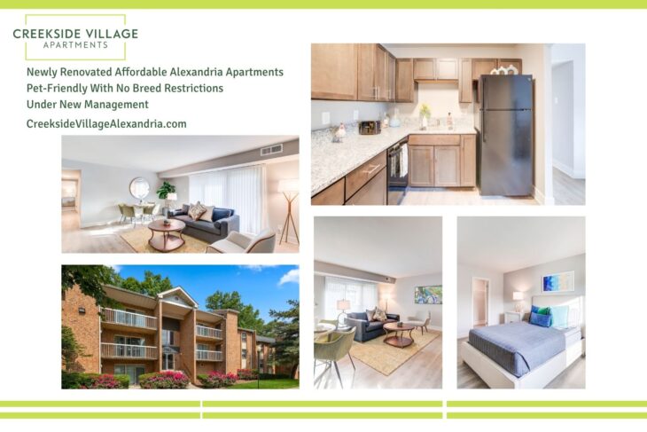 Image from Rediscover Creekside Village: Premium Renovated Living Meets Unbeatable Value in Alexandria