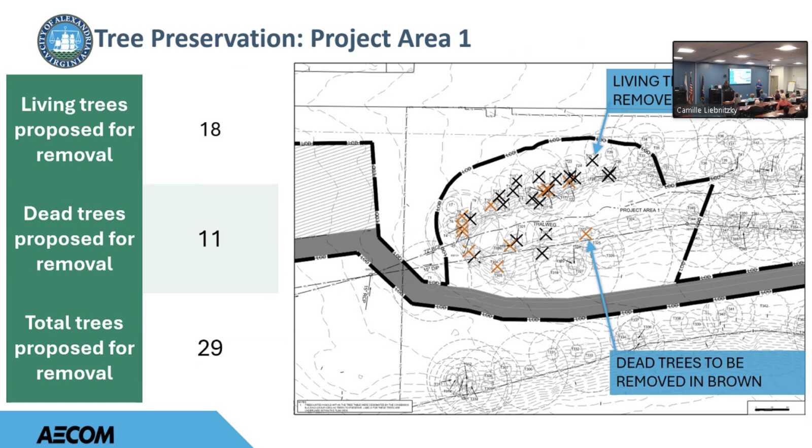 Infographic map of Tree Preservation: Project Area 1, with a green legend listing living trees proposed for removal and dead trees proposed for removal; counts 18, 11, 29 shown on the left, and a cluster of trees marked inside a boundary on the map with a roadway at the bottom; a small video inset in the upper-right corner.