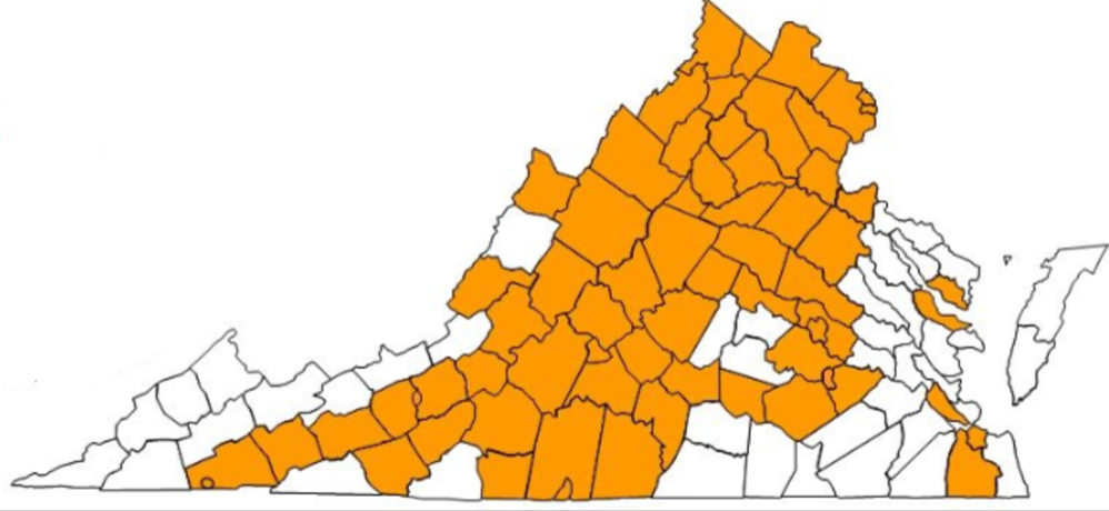Map of Virginia with most counties shaded orange, white counties unshaded for contrast.