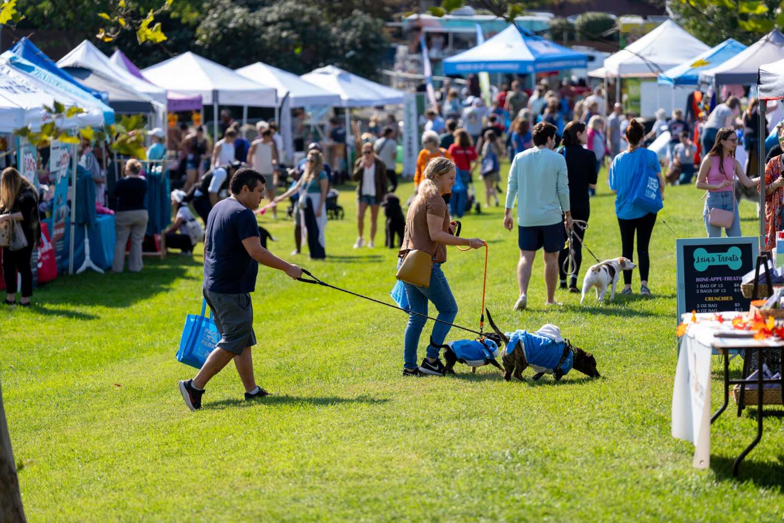Couple walking two small dogs in blue coats at a busy outdoor market with white tents in a sunny park.