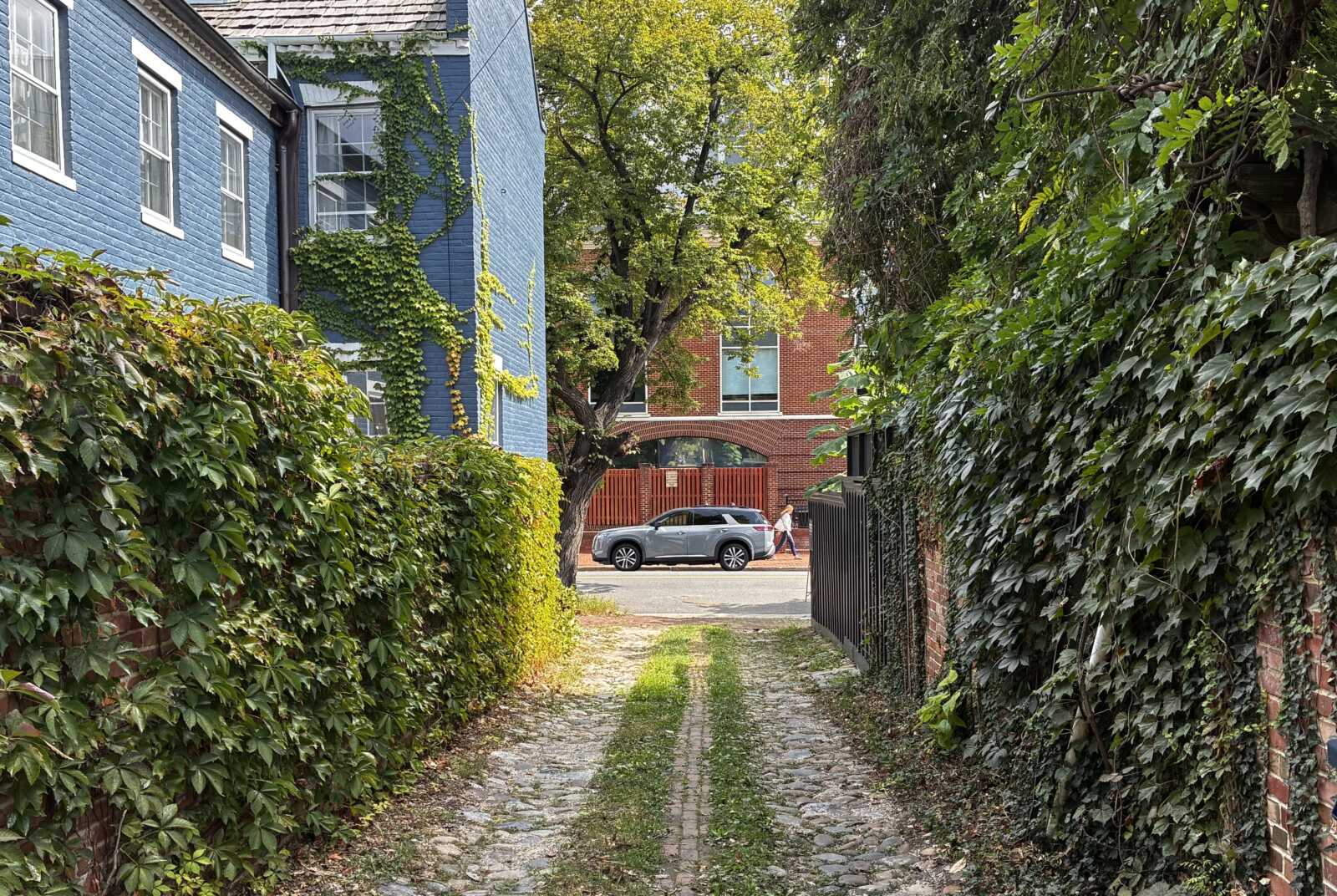 IMG_6890 | ALXnow Cobblestone alley between ivy-covered blue wall and tall hedges, with a silver SUV and a person walking toward a red brick building in the distance.