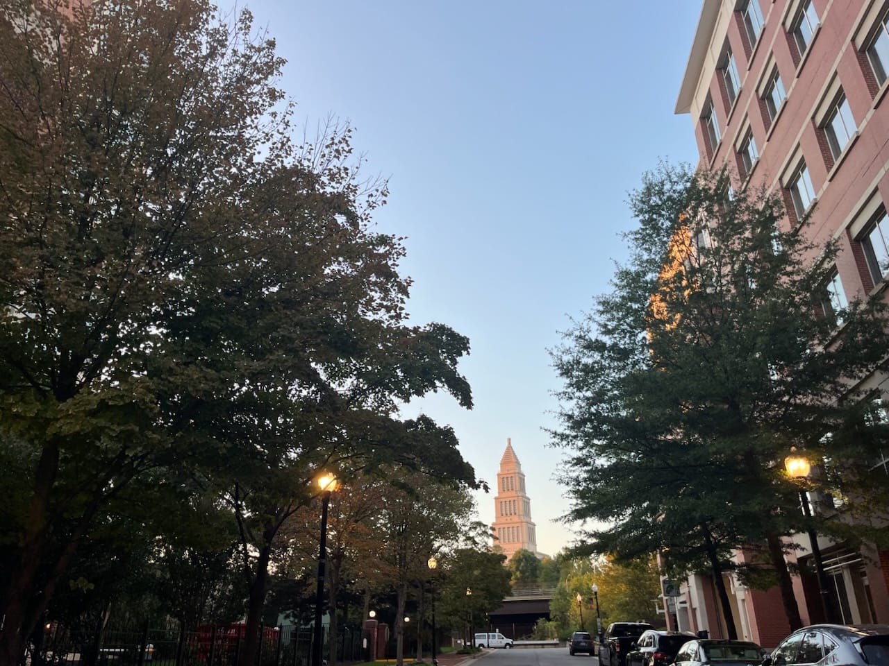 IMG_8143 | ALXnow Urban street with trees lining both sides, brick apartment building on the right, and a tall tower in the distance under a clear blue sky.