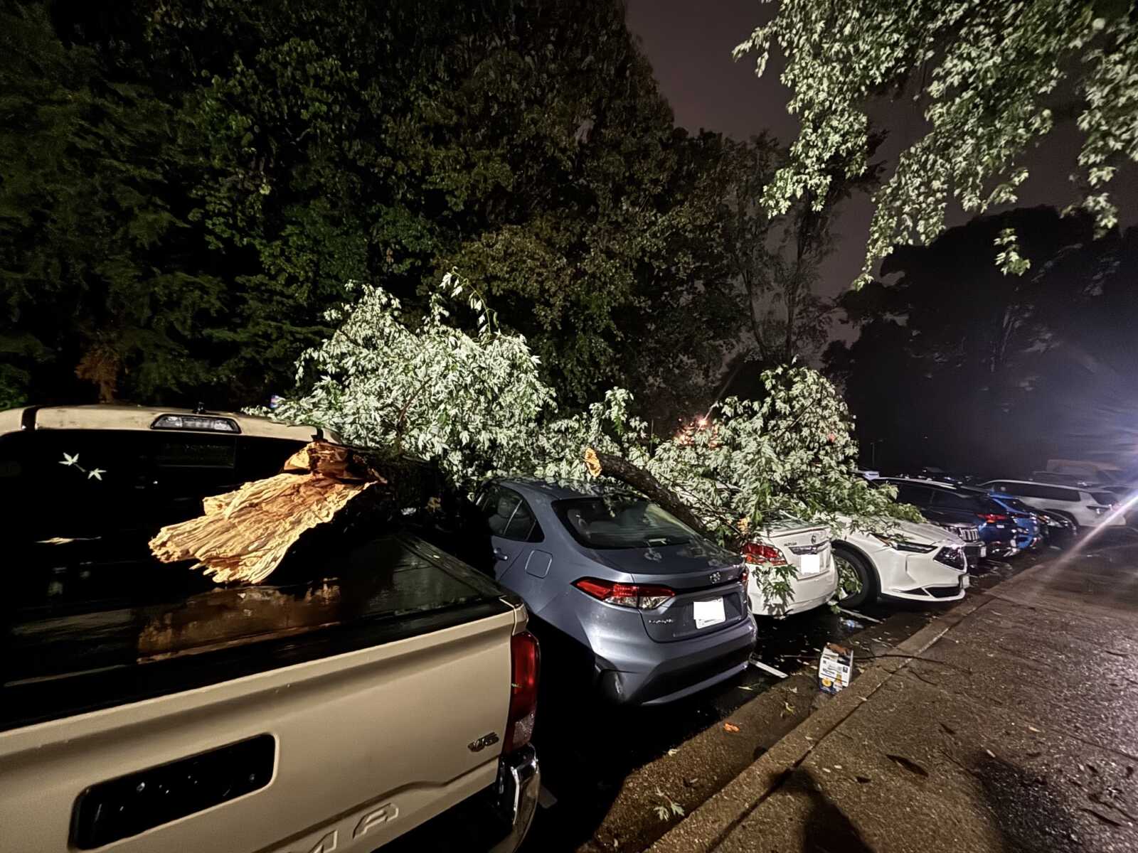 Nighttime street scene with a large tree branch crushed across parked cars in a dimly lit lot.