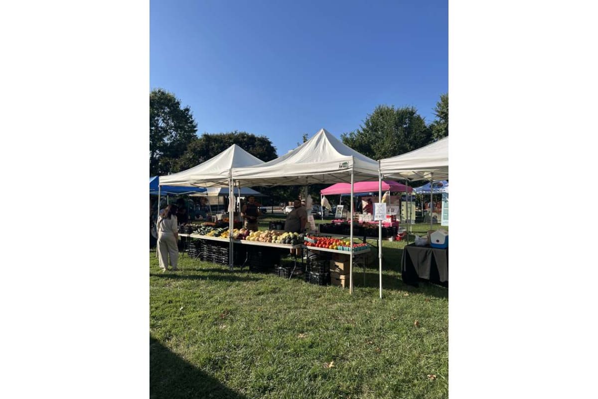 Outdoor farmer's market with white tents and fruit stalls on a sunny day, people browsing produce.