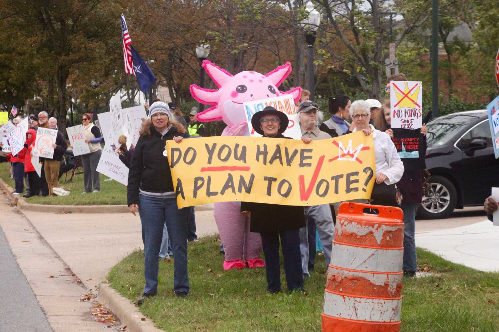 Protesters hold a bright banner reading 'Do You Have a Plan to Vote?' with a pink unicorn mascot behind them on a grassy sidewalk edge of a street.