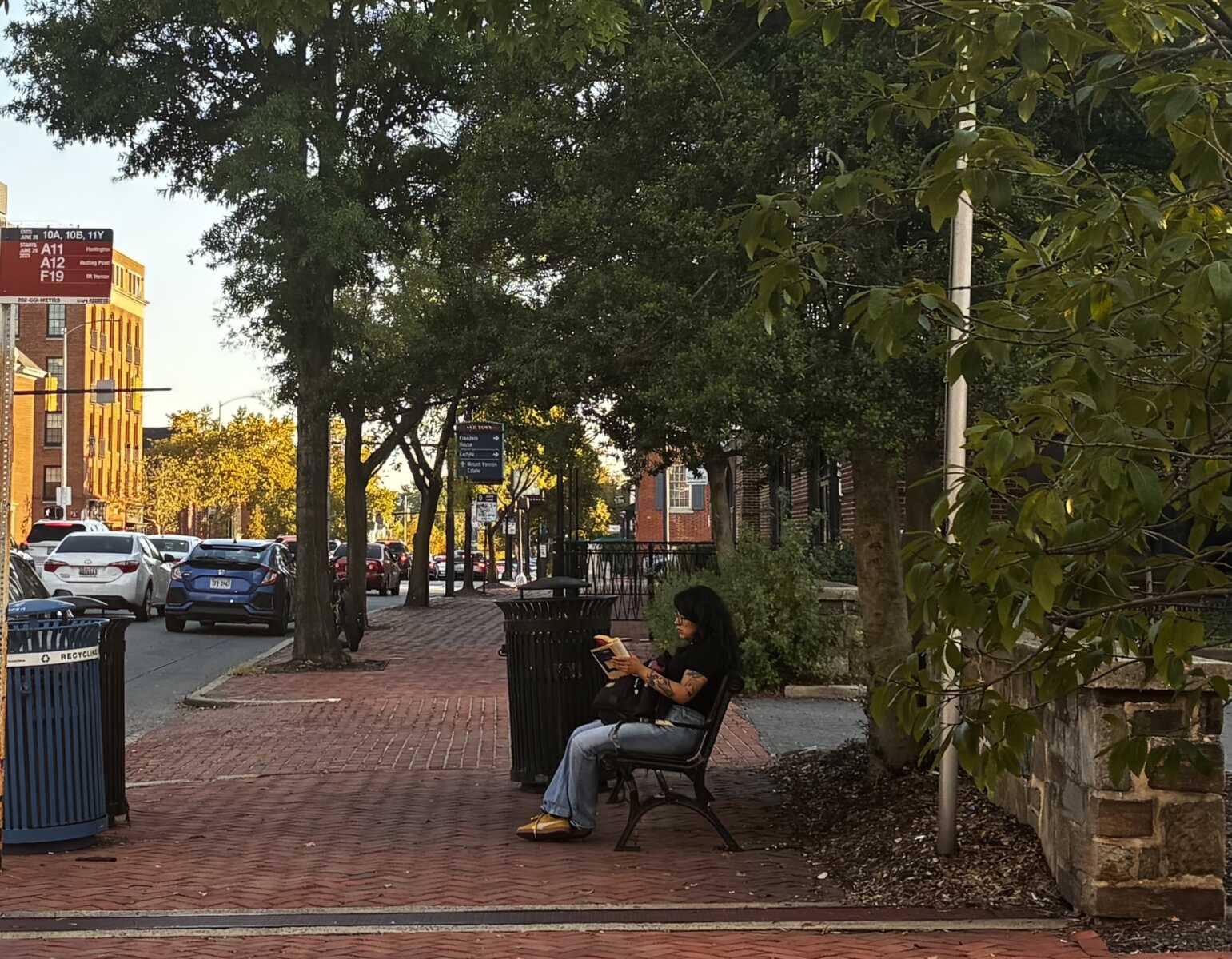 IMG_7083 morning notes | ALXnow Person sitting on a bench reading a book along a brick sidewalk with trees and parked cars on a city street
