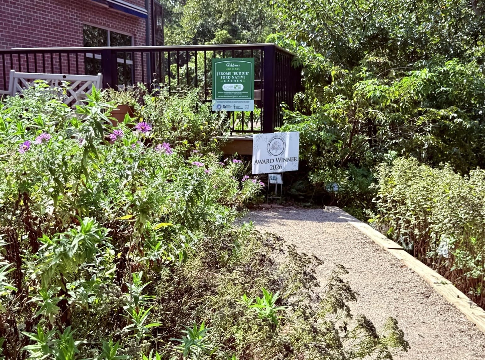 Gravel garden path with a black railing gate and two signs, including 'Award Winner 2026', surrounded by green plants and pink flowers.