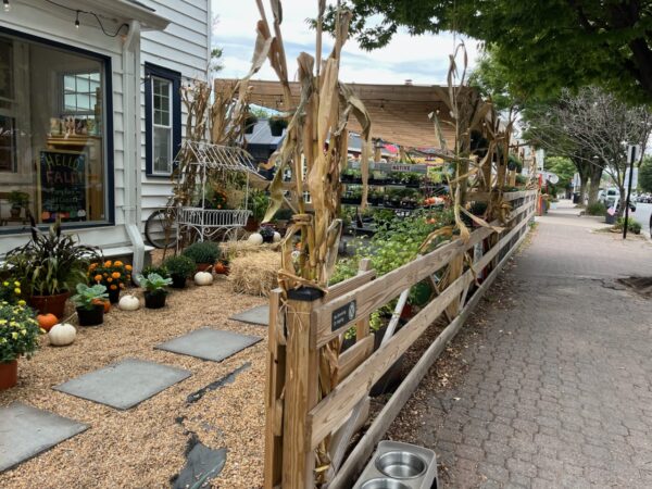 Storefront display for fall with pumpkins, potted mums, and hay bales along a gravel path beside a white house.